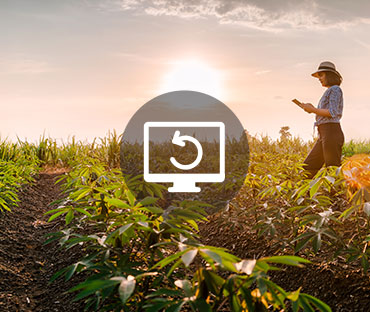 Female farm worker
